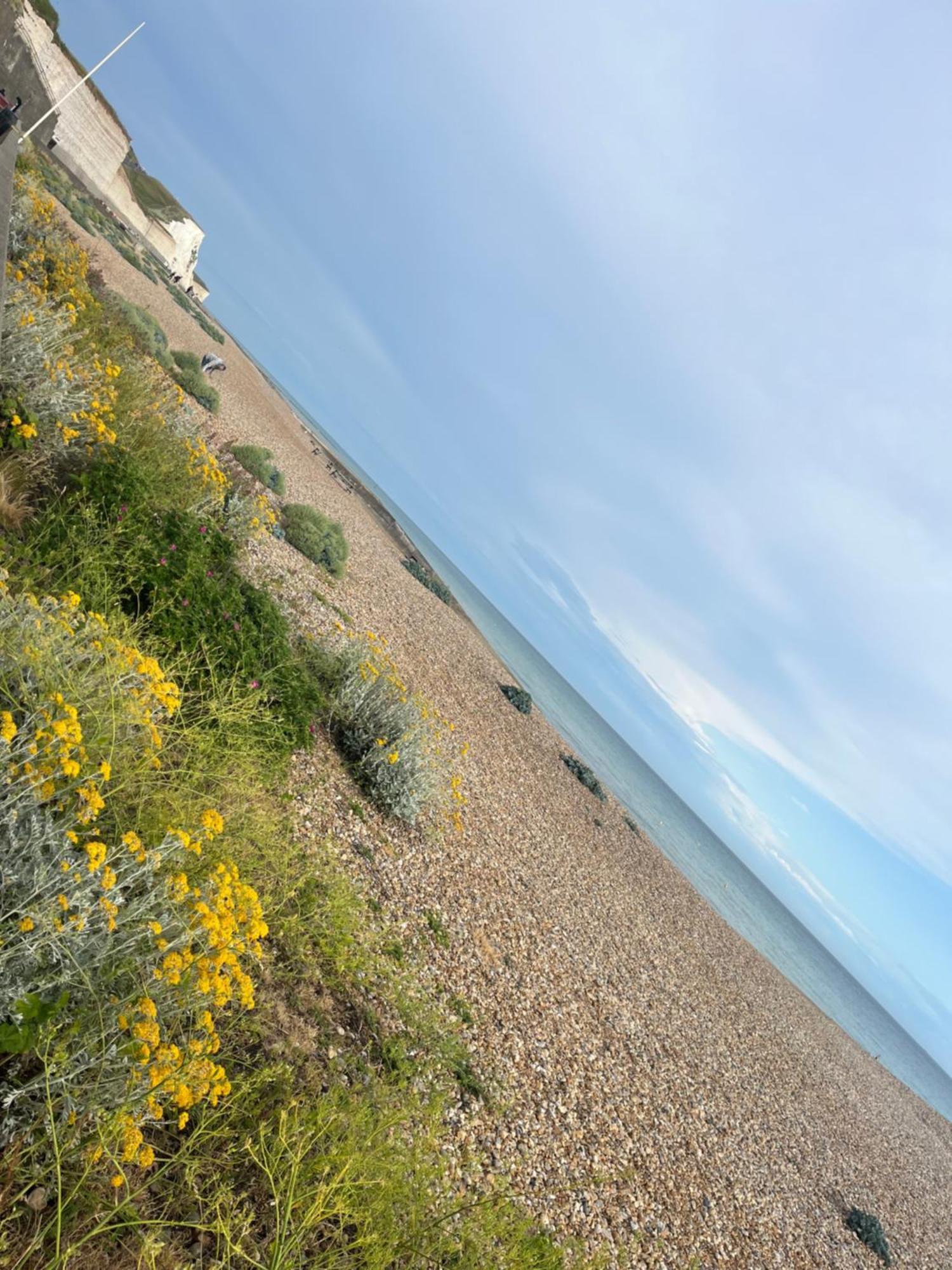 Saltdean Homestay *